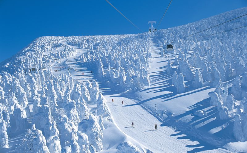 滑雪场门票销售系统系统采用一游客一帐户的方式进行多种收费项目的管理 滑雪场门票销售系统系统采用一游客一帐户的方式进行多种收费项目的管理