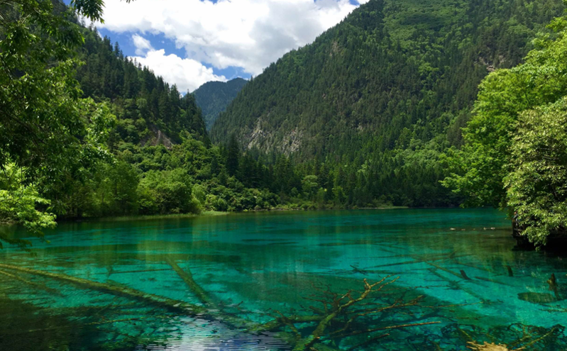九寨沟力推生态文化旅游发展 打造国际旅游新高地 九寨沟力推生态文化旅游发展 打造国际旅游新高地