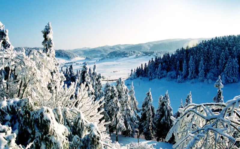 2024—2025全国冰雪旅游精品线路助力冬季旅游新高潮 2024—2025全国冰雪旅游精品线路助力冬季旅游新高潮