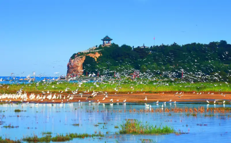 秦皇岛港口工业旅游区荣获国家4a级旅游景区认证,焕发新生 秦皇岛港口工业旅游区荣获国家4a级旅游景区认证,焕发新生