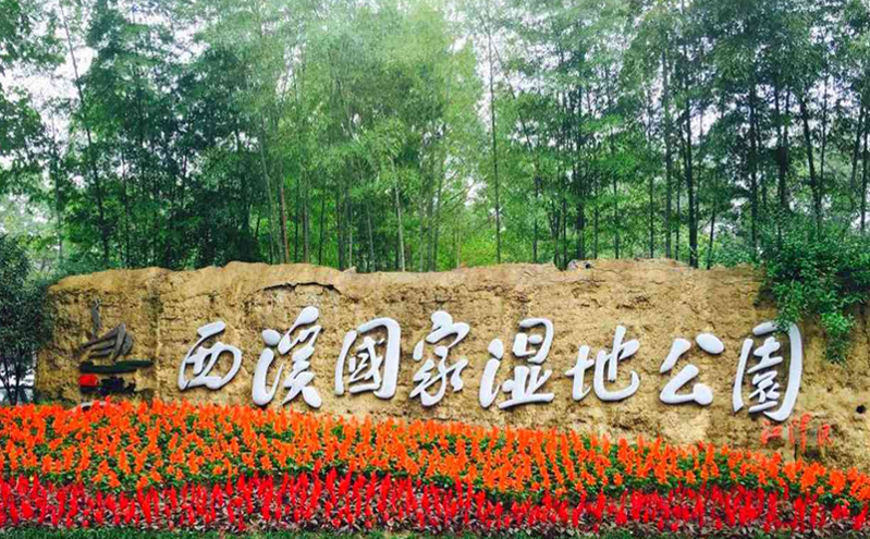 杭州西溪湿地梅花盛开,迎来早春赏花最佳时机 杭州西溪湿地梅花盛开,迎来早春赏花最佳时机