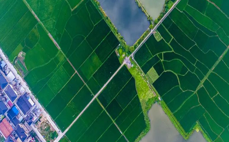 从“输血式”扶持到“造血式”发展:乡村旅游转型路径探索 从“输血式”扶持到“造血式”发展:乡村旅游转型路径探索