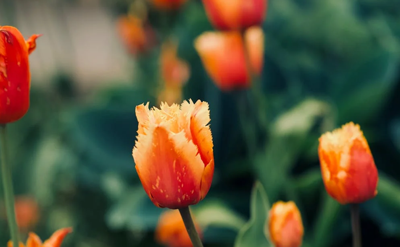 沉浸式智慧旅游引领新风潮,多元创新体验助力文旅消费升级 沉浸式智慧旅游引领新风潮,多元创新体验助力文旅消费升级