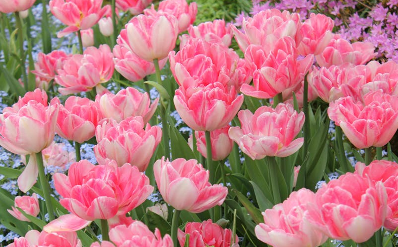 智慧旅游迎来新发展机遇,多地加速政策推动与技术创新 智慧旅游迎来新发展机遇,多地加速政策推动与技术创新