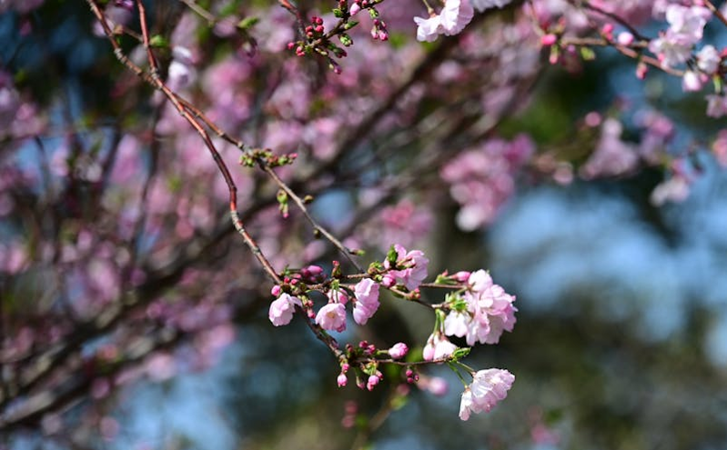 祁县刘家堡村:农文旅融合绘就乡村振兴新画卷 祁县刘家堡村:农文旅融合绘就乡村振兴新画卷