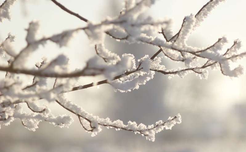 汉中市文旅局三项举措并举 全面提升资源普查质效 汉中市文旅局三项举措并举 全面提升资源普查质效