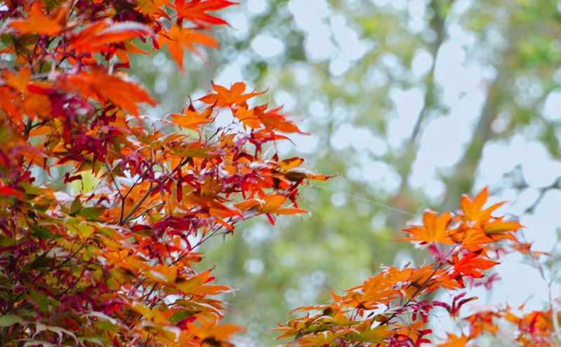 河北创新文旅活动迎接“五一”旅游高峰 助力出游热潮 河北创新文旅活动迎接“五一”旅游高峰 助力出游热潮