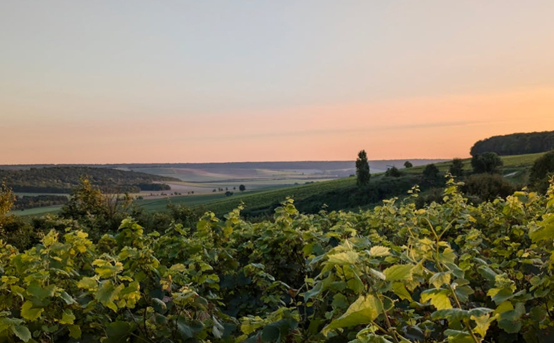 天津东丽区文化传承创新融合 打造“津派文化”新名片 天津东丽区文化传承创新融合 打造“津派文化”新名片