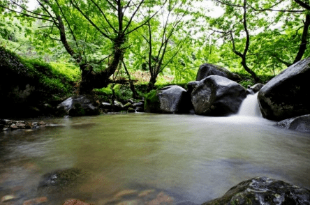 易景通景区票务系统和西溪大峡谷达成合作