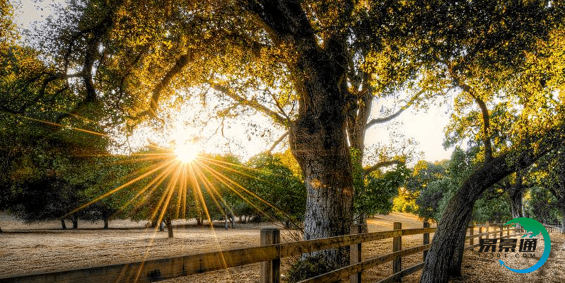 易景通的景点售票系统快速建立智慧化景区