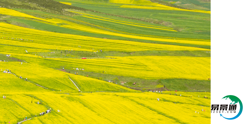 景区电子票务系统改造传统票务的益处