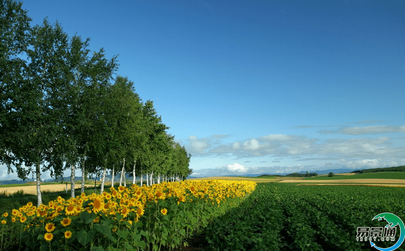 景点购票系统提升乡村游的管理方式