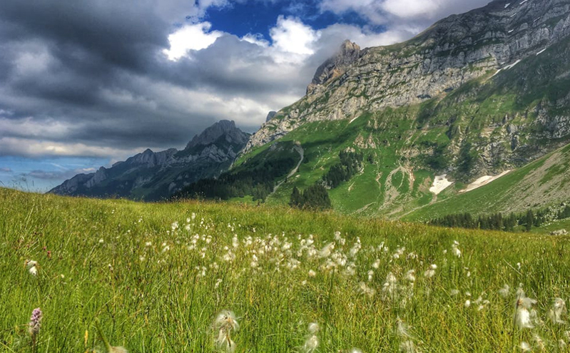 绥宁县开展“两整治两提升”专项检查行动 打造安全优质旅游环境 绥宁县开展“两整治两提升”专项检查行动 打造安全优质旅游环境