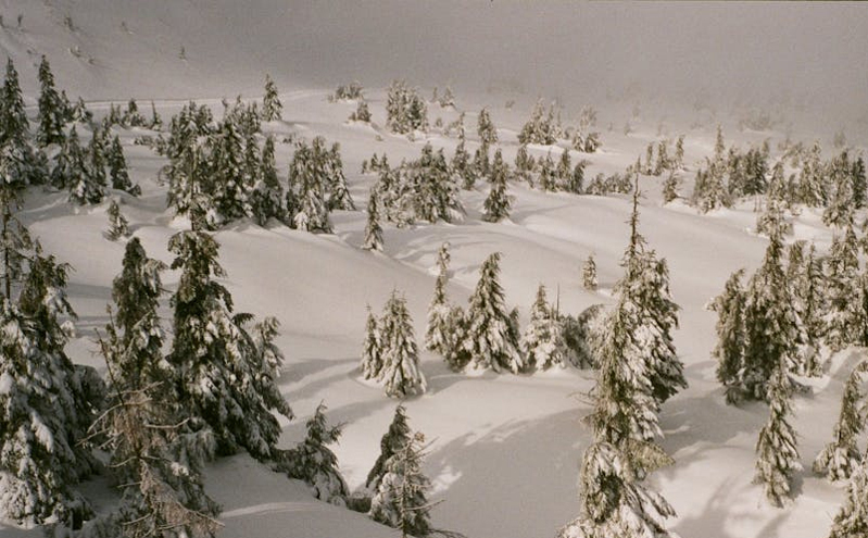 “5·19中国旅游日”多措并举促消费 文旅融合惠民利民