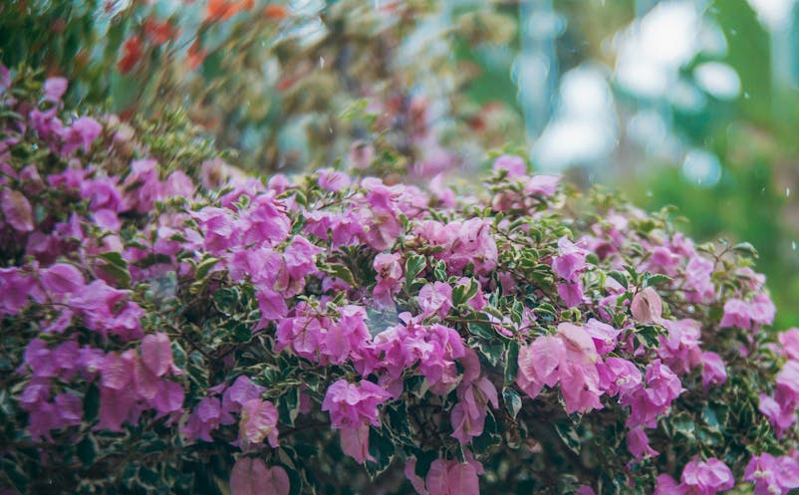 湖北文化和旅游厅携手顺丰 推出“文旅快递轻松游”服务 湖北文化和旅游厅携手顺丰 推出“文旅快递轻松游”服务