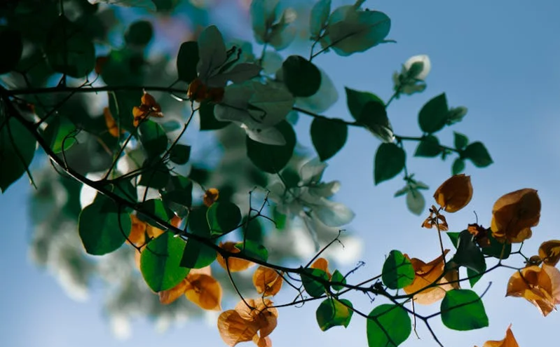 “好客山东”绽放新魅力:2025山东文旅大会激发高质量发展新动能 “好客山东”绽放新魅力:2025山东文旅大会激发高质量发展新动能