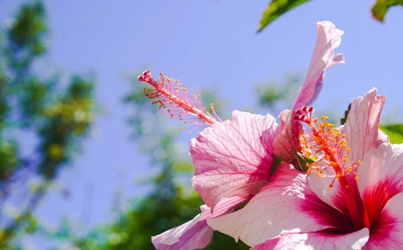 太原文旅市场再迎客流高峰 消费潜力持续释放 太原文旅市场再迎客流高峰 消费潜力持续释放