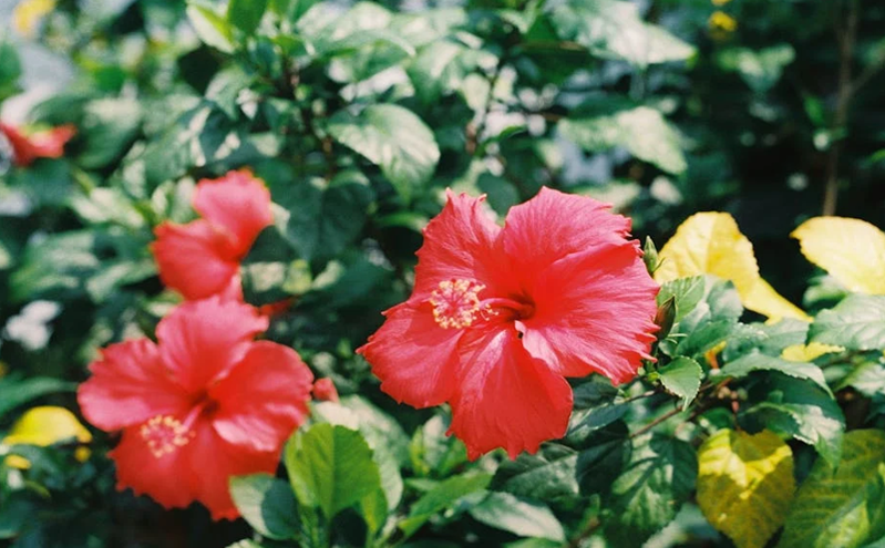 太原文旅市场再迎客流高峰 消费潜力持续释放 太原文旅市场再迎客流高峰 消费潜力持续释放