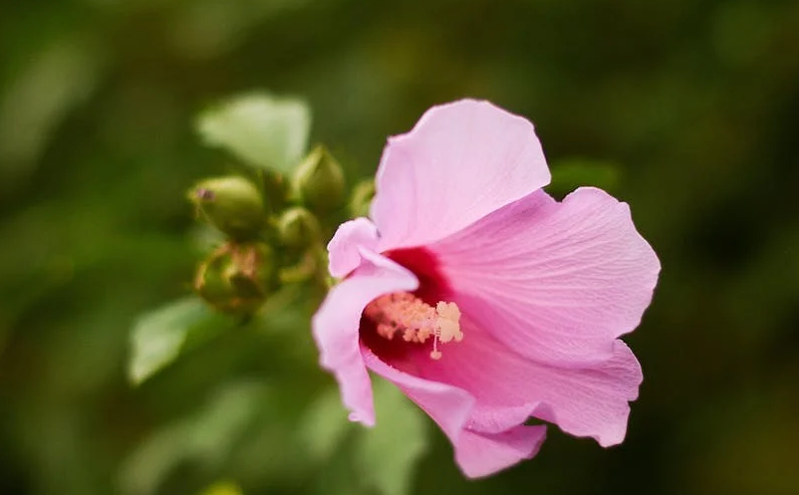晋中市多措并举 擦亮“怡然见晋中”城市文旅品牌