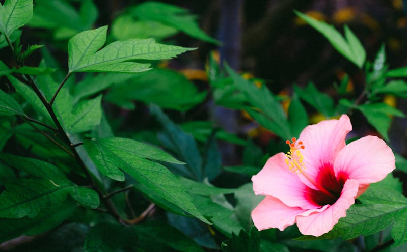 山西“五一”假期文旅市场大爆发 接待游客突破2272万人次