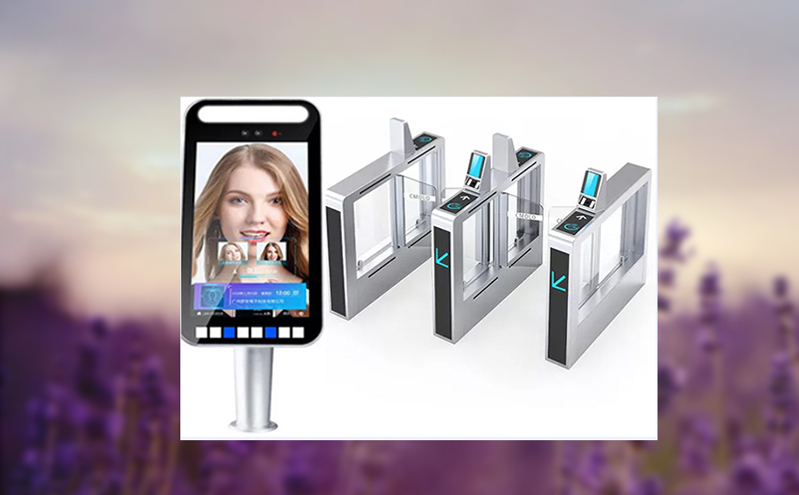 游乐园门票系统：智能派发，优化游客分流与管理