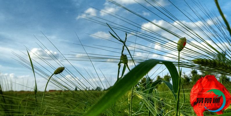 易景通景区电子票务系统的营销方案,提高景区经济效益 易景通景区电子票务系统的营销方案,提高景区经济效益