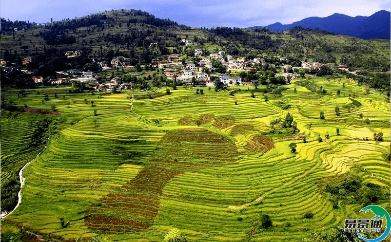 景点售票系统转变乡村游的管理模式