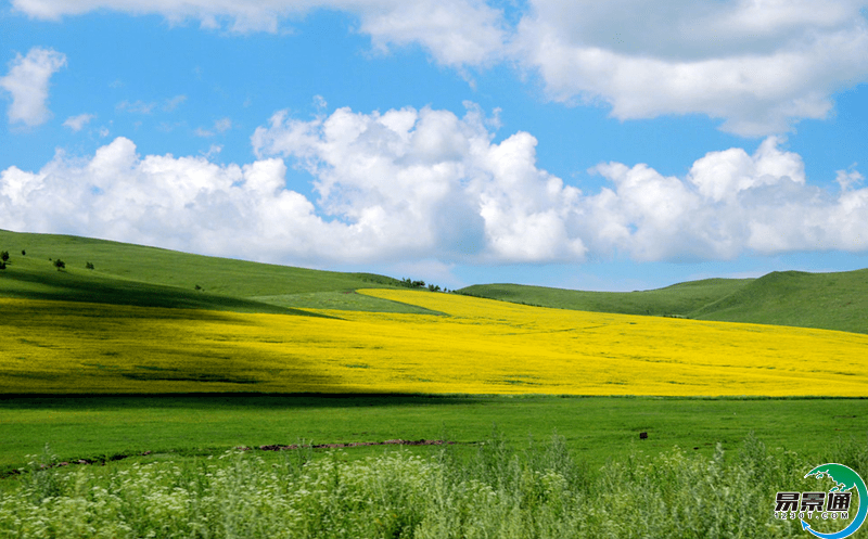 旅游票务平台综合提高景区收益和营销方式