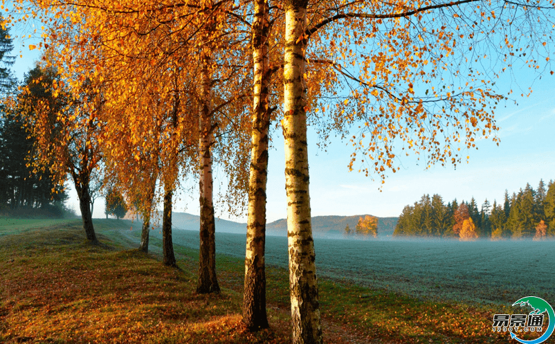 景区智慧旅游系统满足景区智慧化升级