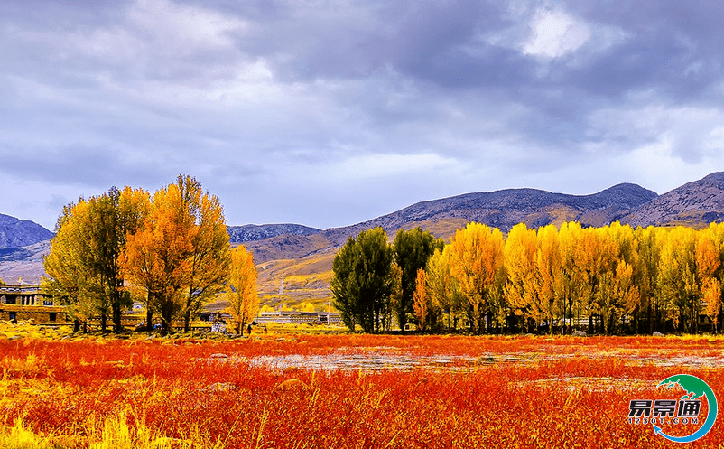 票务系统提升景区管理方式