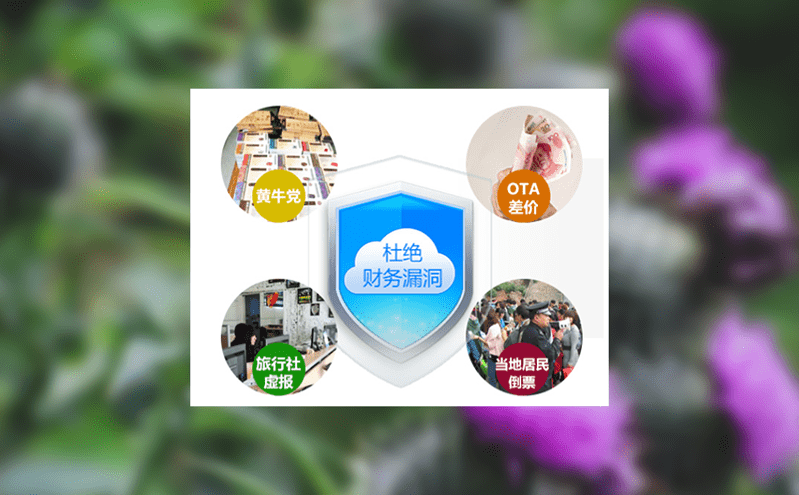 车船调度系统如何优化公园运力