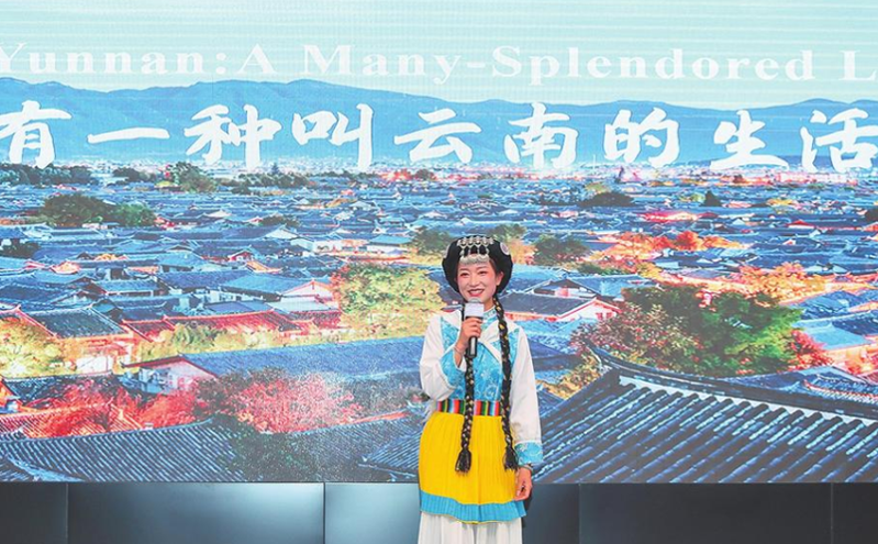 云南发布“世界遗产游计划”，全球友好城市共赴文化之旅