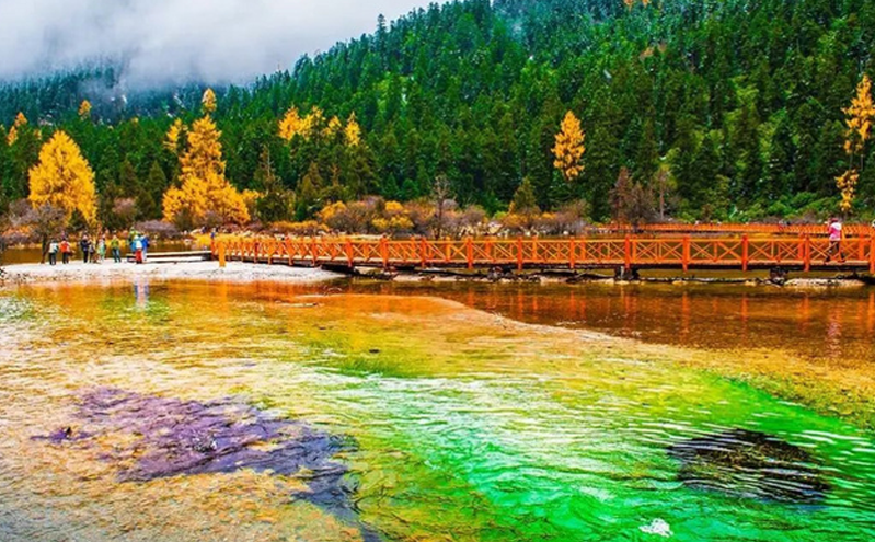 四川举办“安逸四川·盐边之冬”文化和旅游宣传活动 推动冬季旅游新热潮