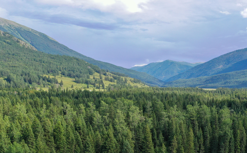 新疆元旦春节期间文化旅游活动丰富多彩 吸引游客畅游冰雪天地