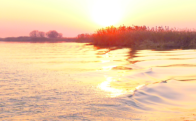 文化和旅游部启动2025春节主题活动 打造多元文化盛宴