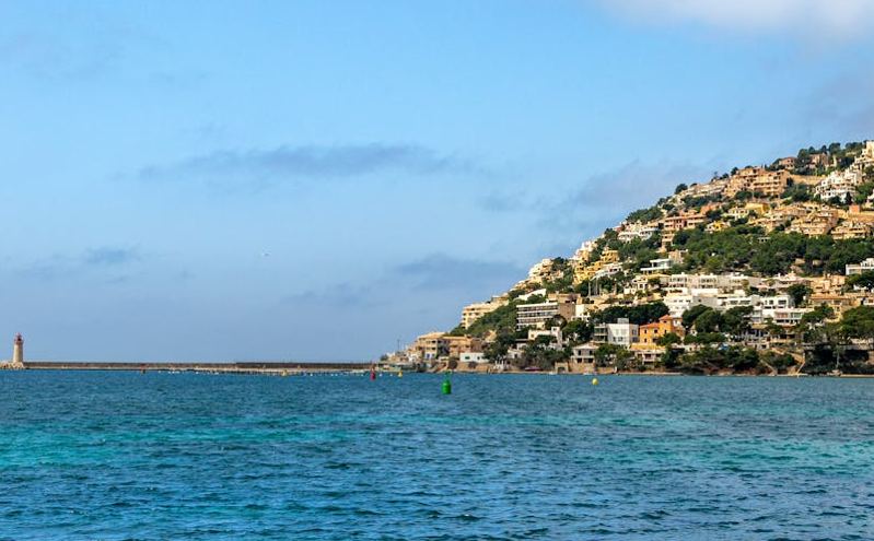 智慧公园：实时监控系统助力管理人员精准控制客流密度