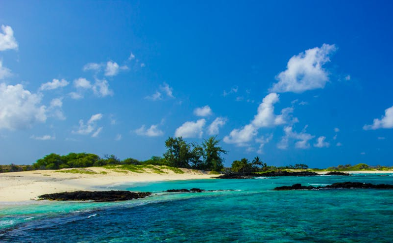 乡村旅游迎来线上线下融合升级，便捷交通与智能服务提升游客体验