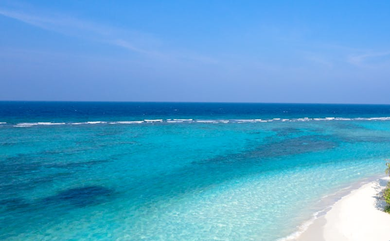 智能分析助力景区精准管理，提升游客体验