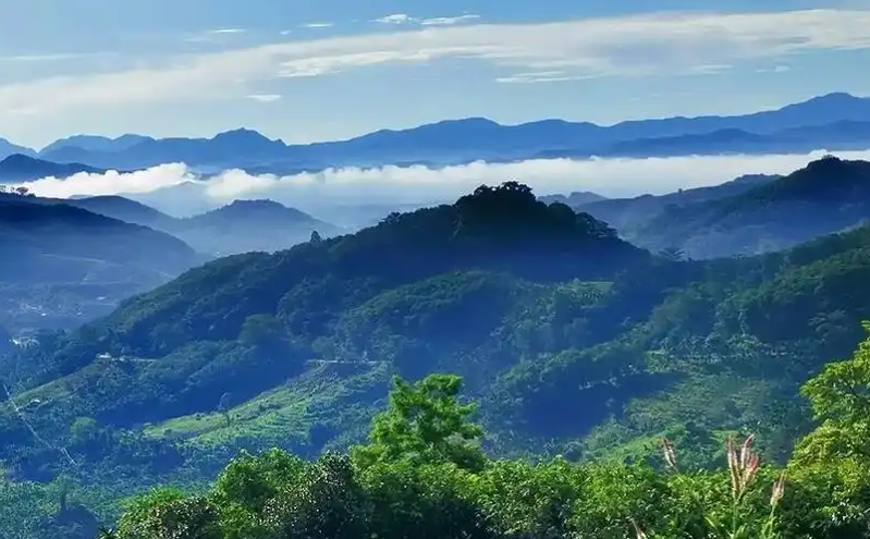 2025海南文旅大放异彩，多项精彩活动汇聚全球游客目光