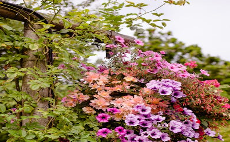 科技赋能文旅产业，创新智慧旅游产品满足游客个性化需求