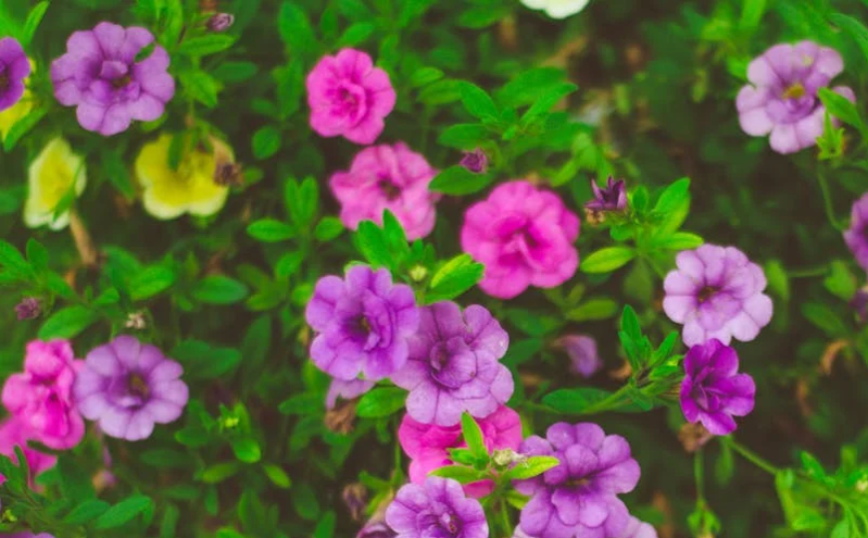 智慧旅游助力传统产业数字化转型，开创未来旅游新篇章