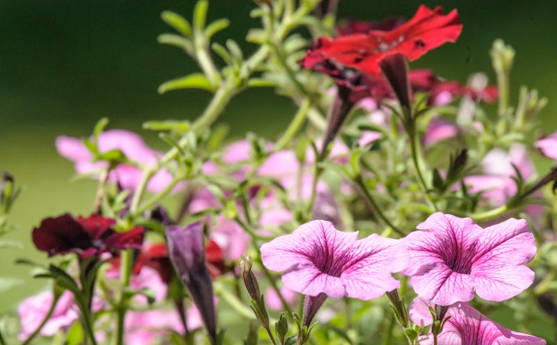 智慧景区运营管理体系构建：打破信息孤岛，提升服务效能