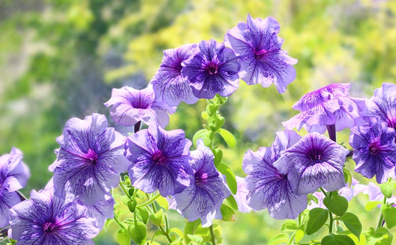 丰富业态提升游客体验，景区从“观光”到“消费”转型