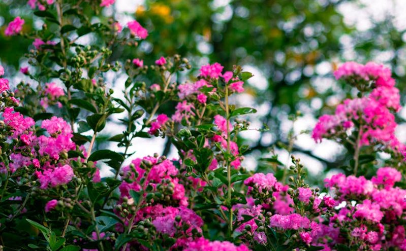 数字化升级助力景区实现智能化运营，推动旅游产业创新发展