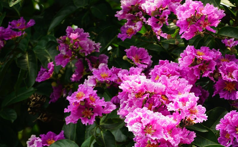 数字化赋能旅游行业，抖音与微信小程序助力景区创新增长