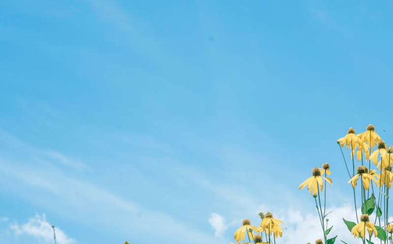 智慧分账系统助力小吃街与夜市商户便捷分润，提升经营效率