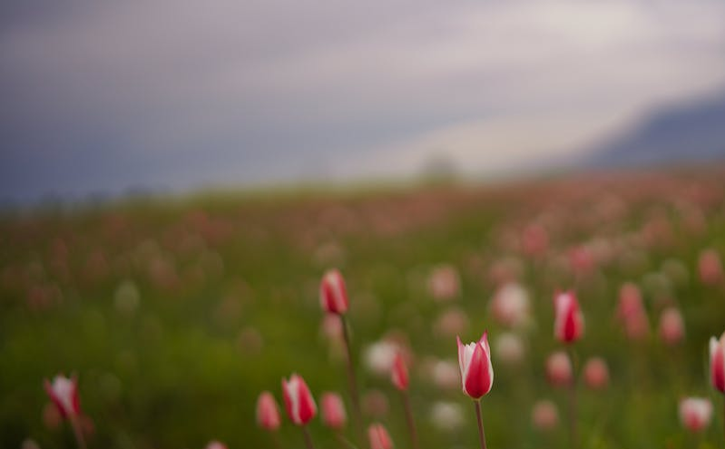 智慧旅游引领新消费趋势 提升游客体验成旅游业发展新目标