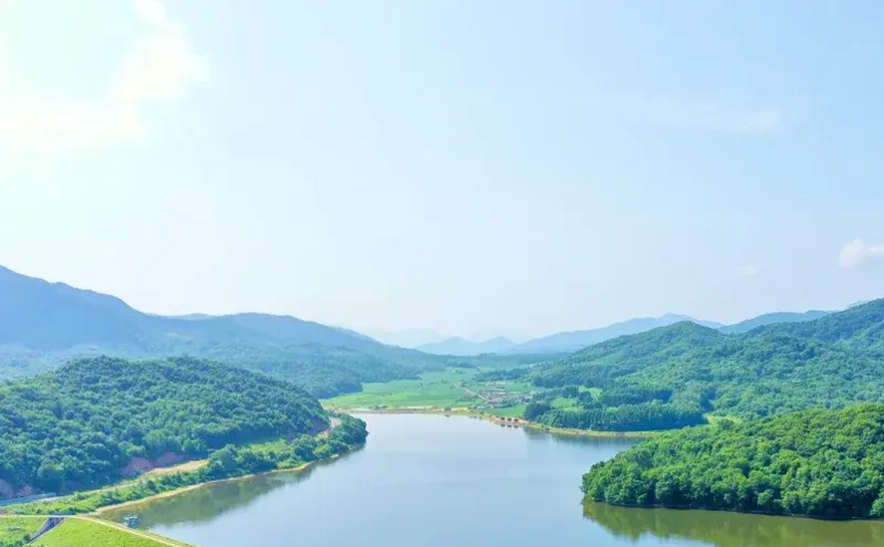 2025全国文化和旅游市场管理工作会议召开，推动高质量发展释放消费潜力