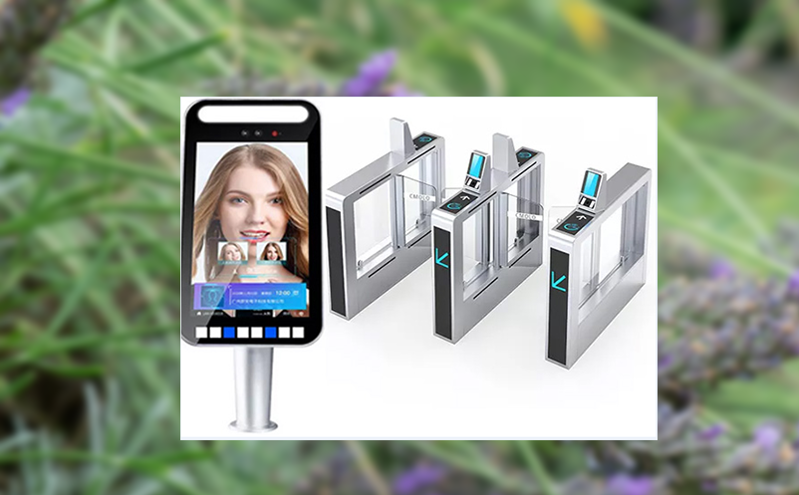 非遗演出票务系统如何解决小众文化活动的票务管理？