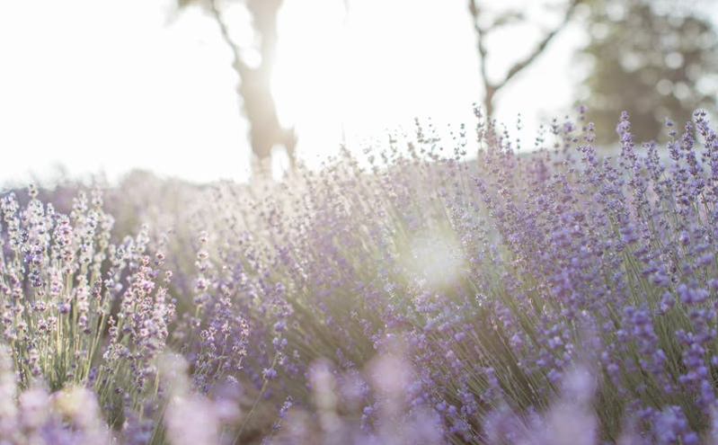 宁夏推出五大专项行动 激活文旅消费市场